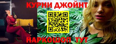 мяу мяу мука Будённовск